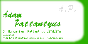 adam pattantyus business card